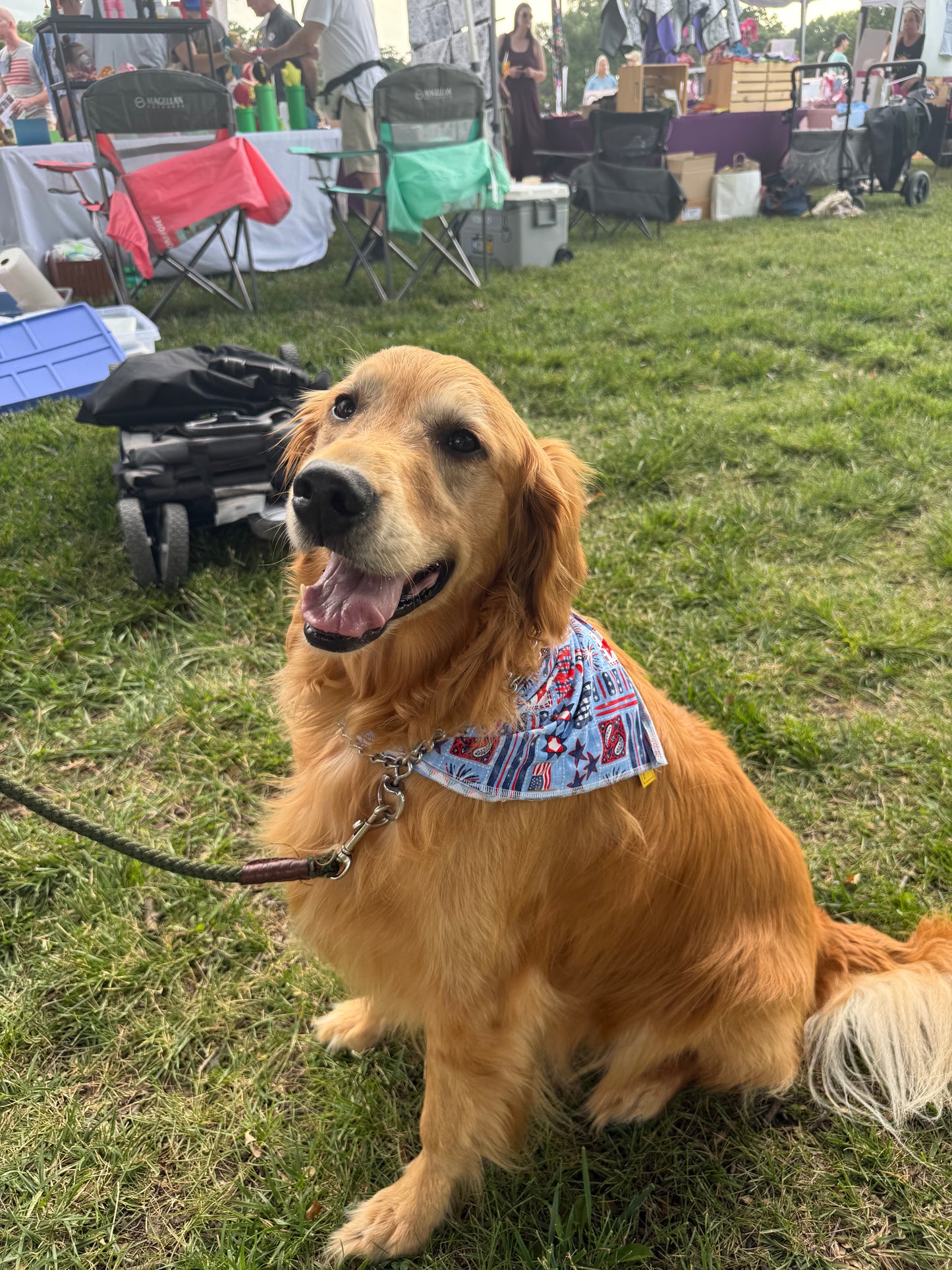 Vintage Americana Dog Bandanna