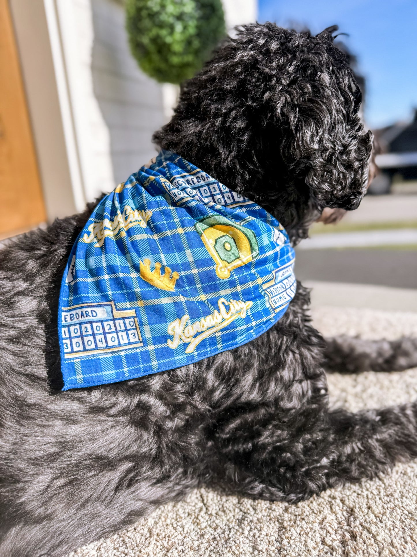 Heritage Plaid Baseball Dog Bandanna
