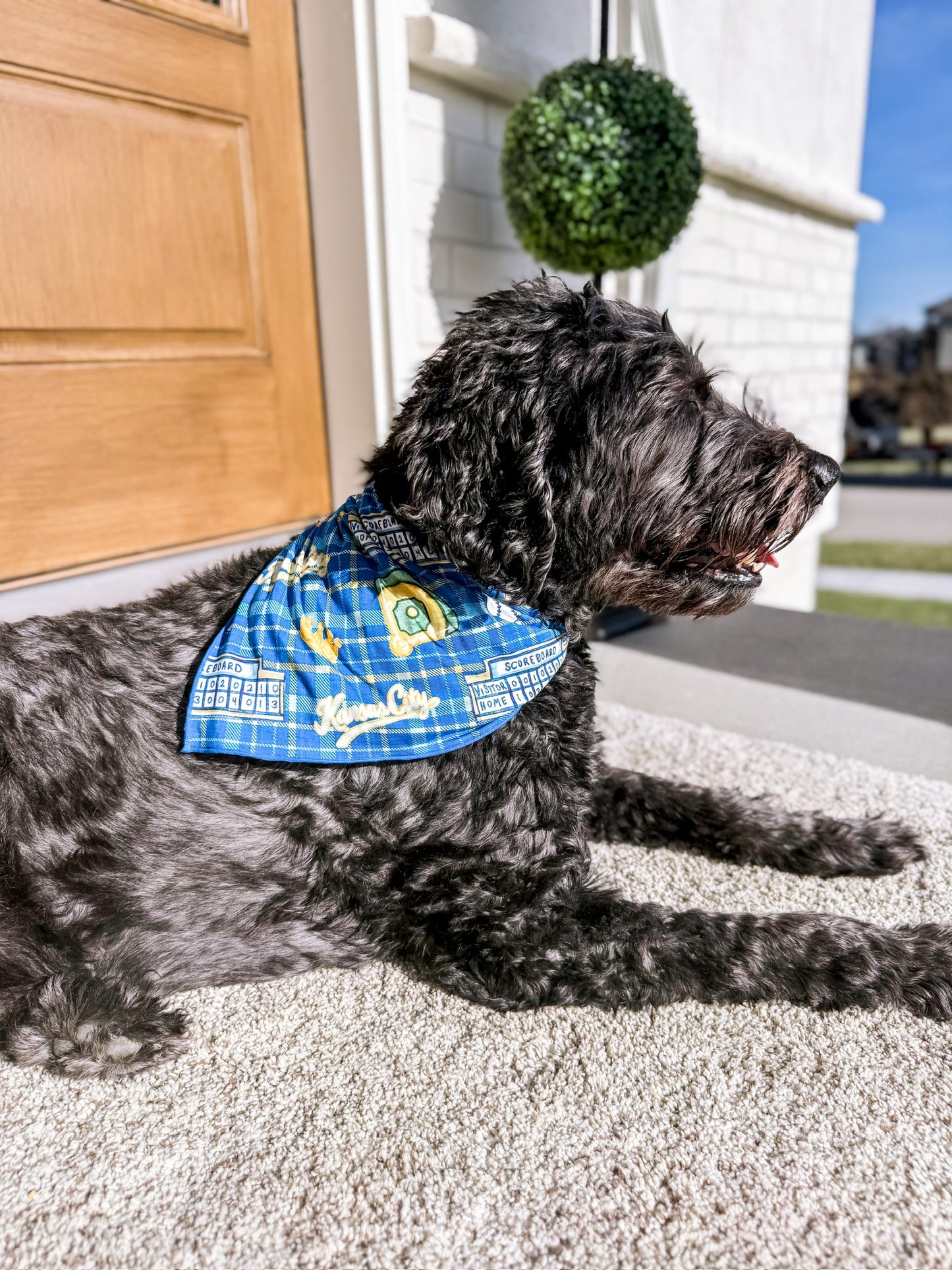 Heritage Plaid Baseball Dog Bandanna